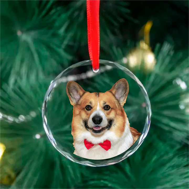 Custom Pet Ornament - 3 inch