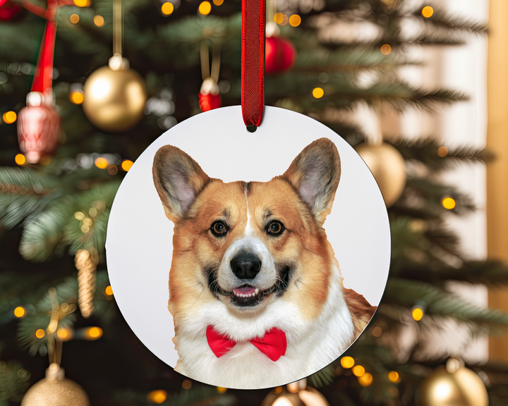 Custom Pet Ornament - 3 inch