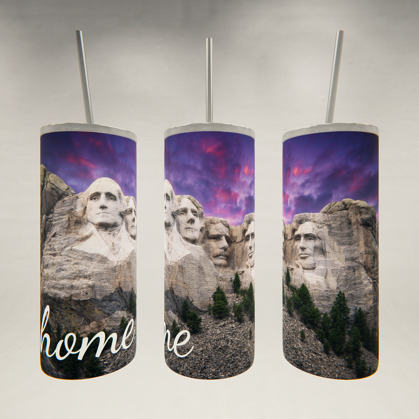 Mount Rushmore Home- 20 oz Skinny Tumbler