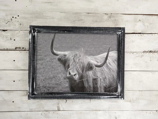 Scottish Highland Barbwire Canvas Print