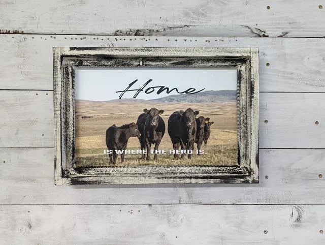 Home Black Angus Canvas Print