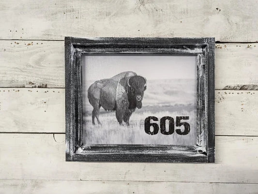 Buffalo 605 Canvas Print