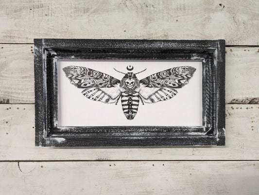 Death Moth Canvas Print