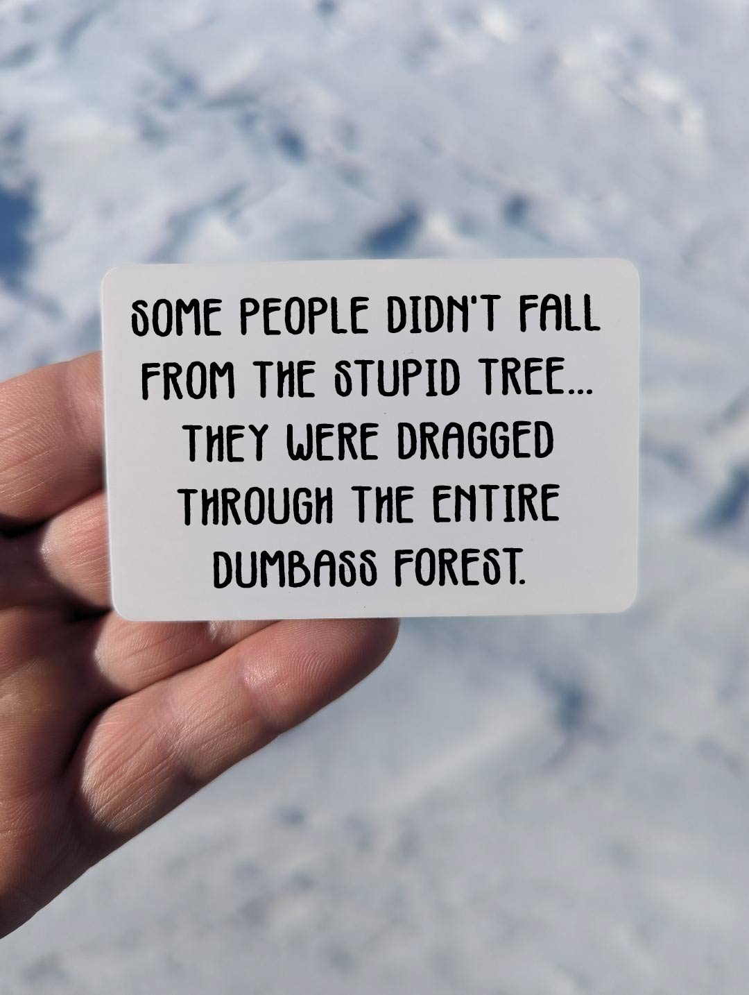 Dragged Through Dumbass Forest Magnet