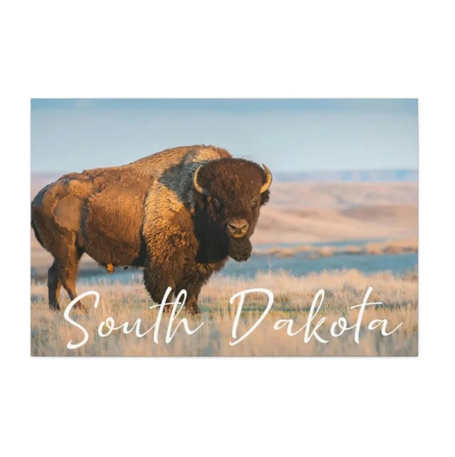 South Dakota Buffalo Wrapped Canvas