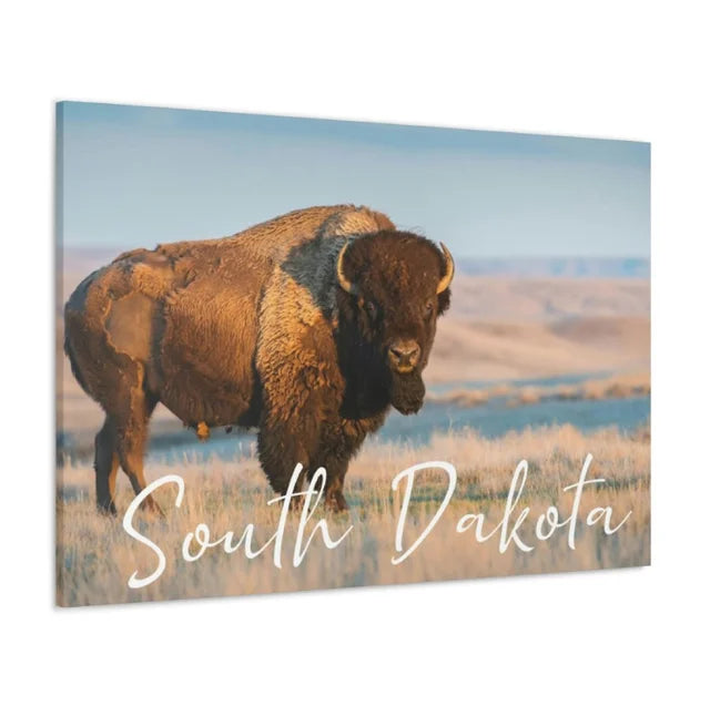 South Dakota Buffalo Wrapped Canvas