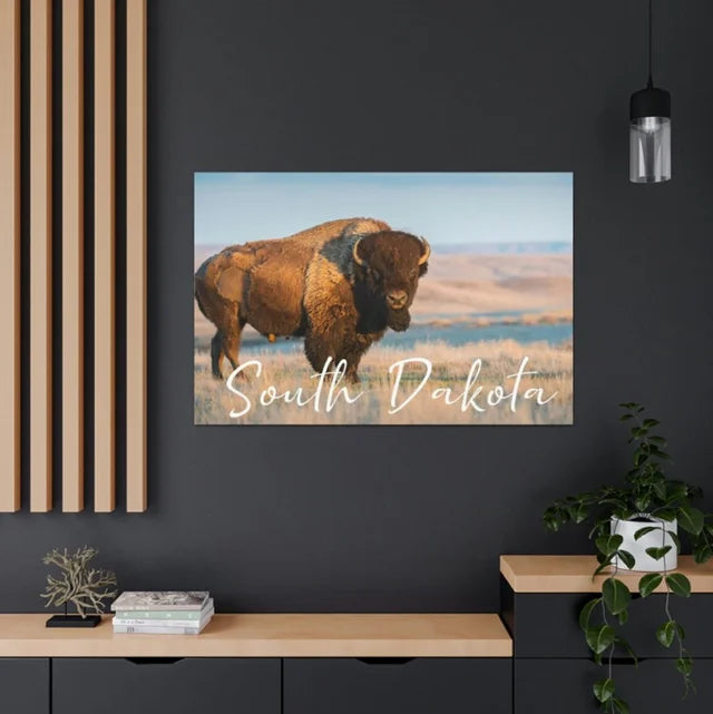 South Dakota Buffalo Wrapped Canvas