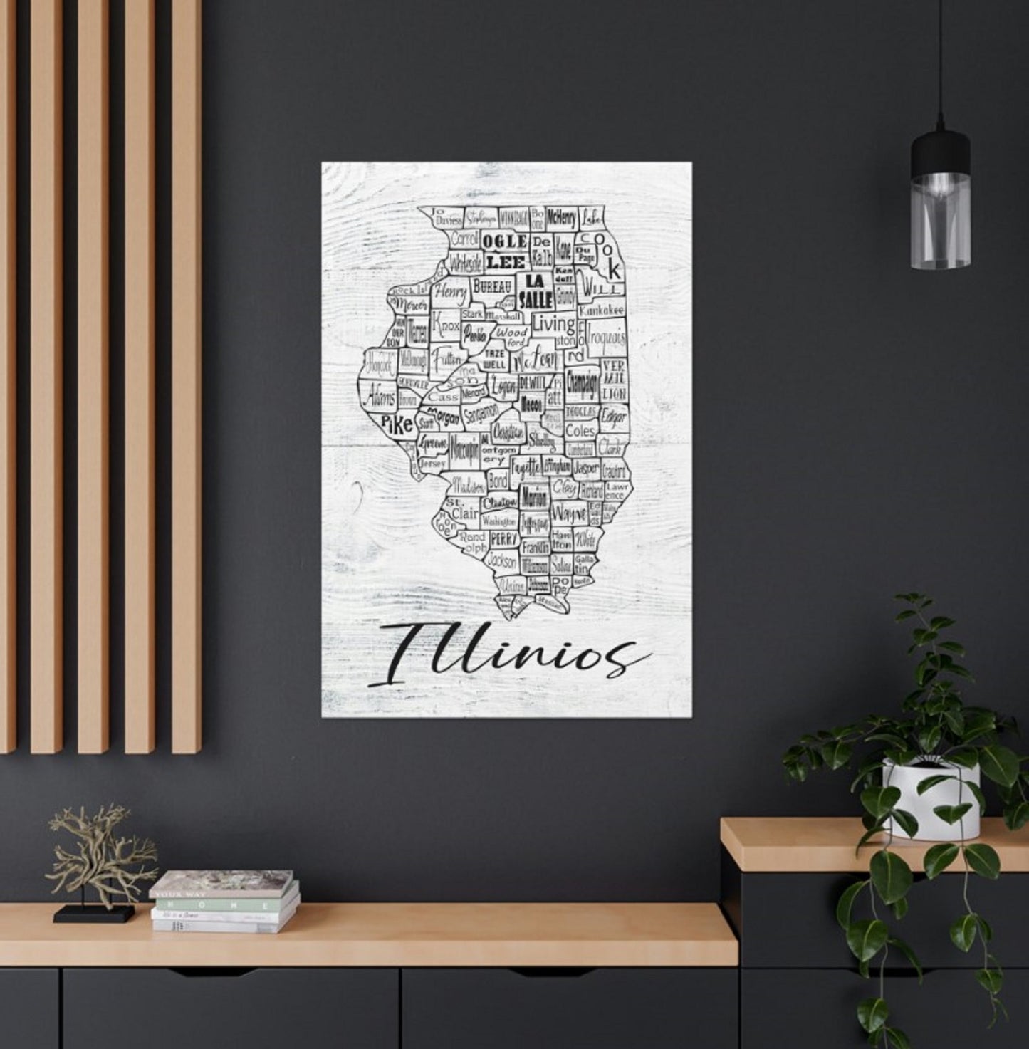 Illinois County Map Wrapped Canvas
