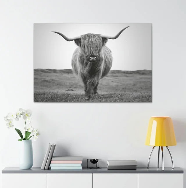 Scottish Highland Wrapped Canvas