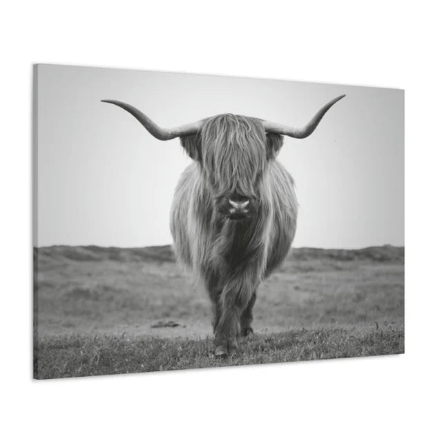 Scottish Highland Wrapped Canvas