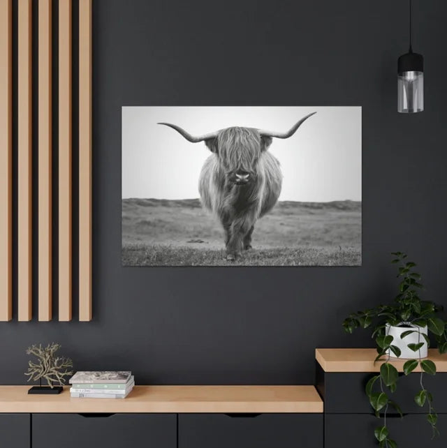 Scottish Highland Wrapped Canvas