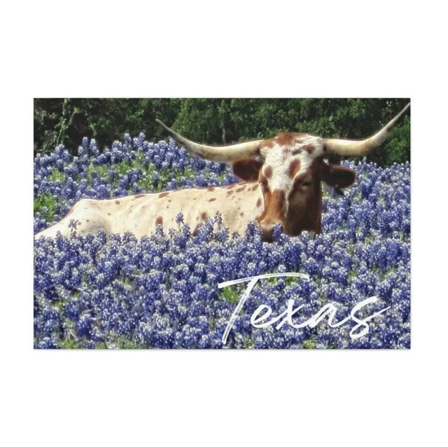 Texas Longhorn Bluebell Flowers Field Wrapped Canvas