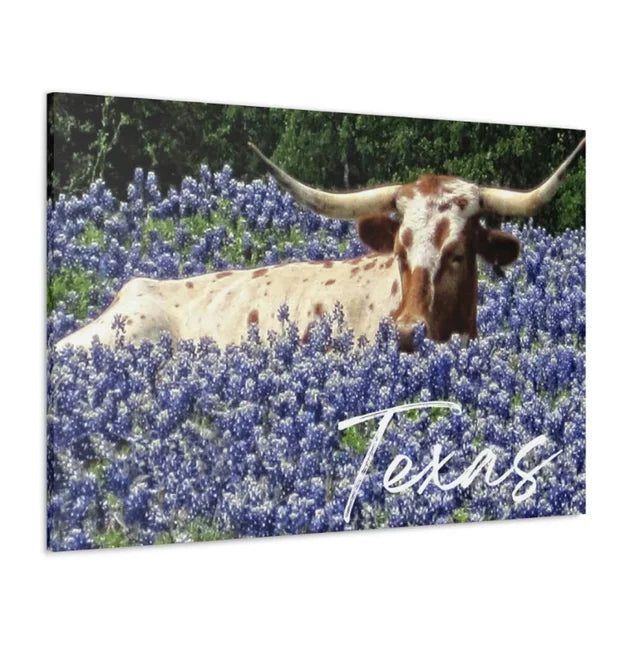 Texas Longhorn Bluebell Flowers Field Wrapped Canvas