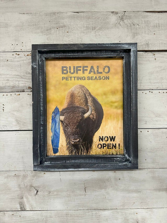 Buffalo Petting Season Canvas Print